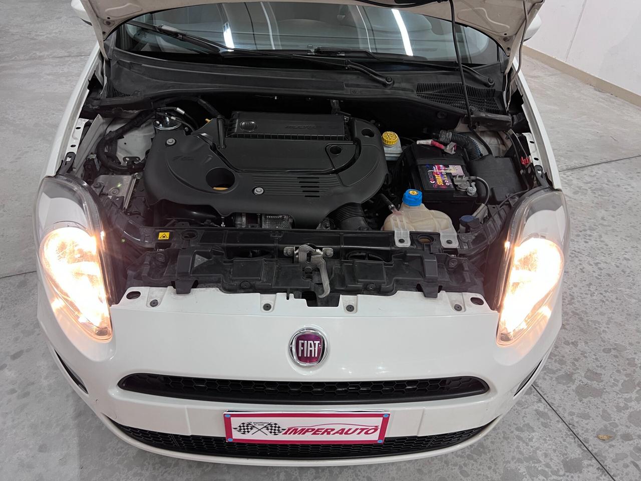 Fiat Punto 1.3MJT 75CV Lounge DISTRIBUZ.E GARANZIA