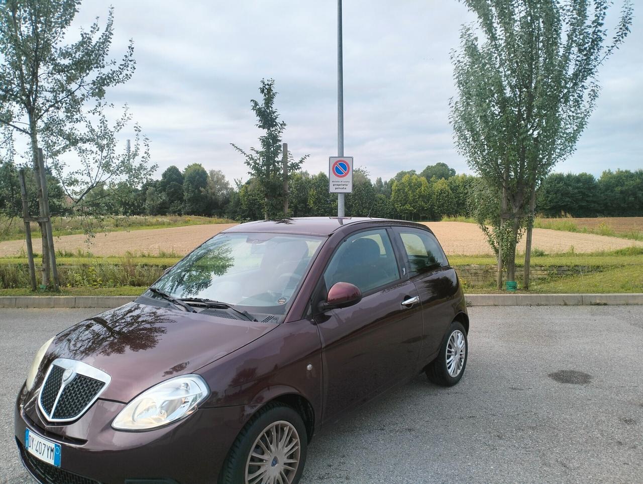 Lancia Ypsilon 1.3 MJT 75 CV Platino 2010