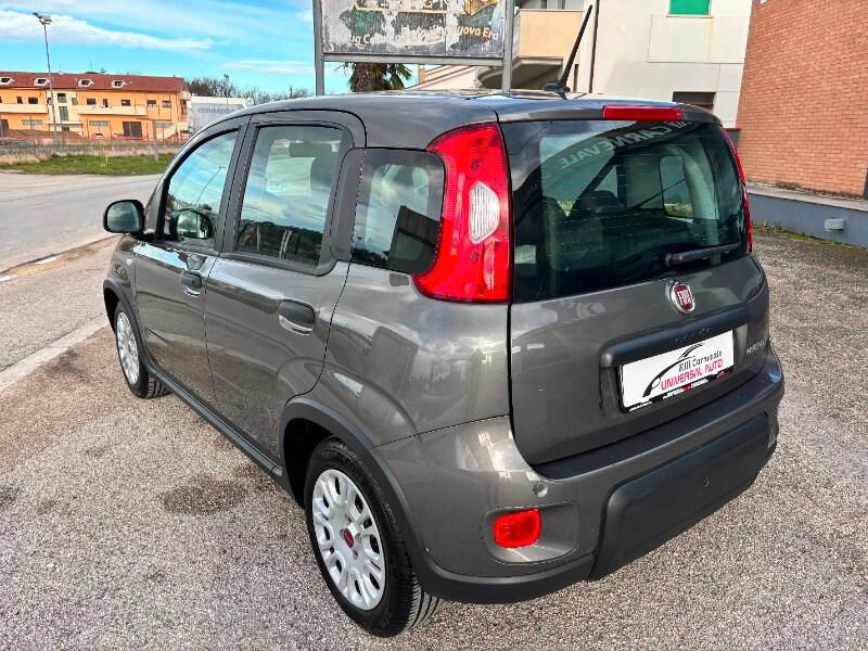 FIAT Panda 3ª serie Panda 1.0 FireFly S&S Hybrid