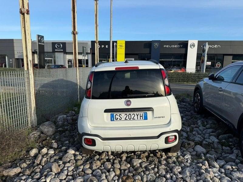 FIAT Panda Cross Cross Panda 1.0 firefly hybrid Cross s&s 70cv 5p.ti