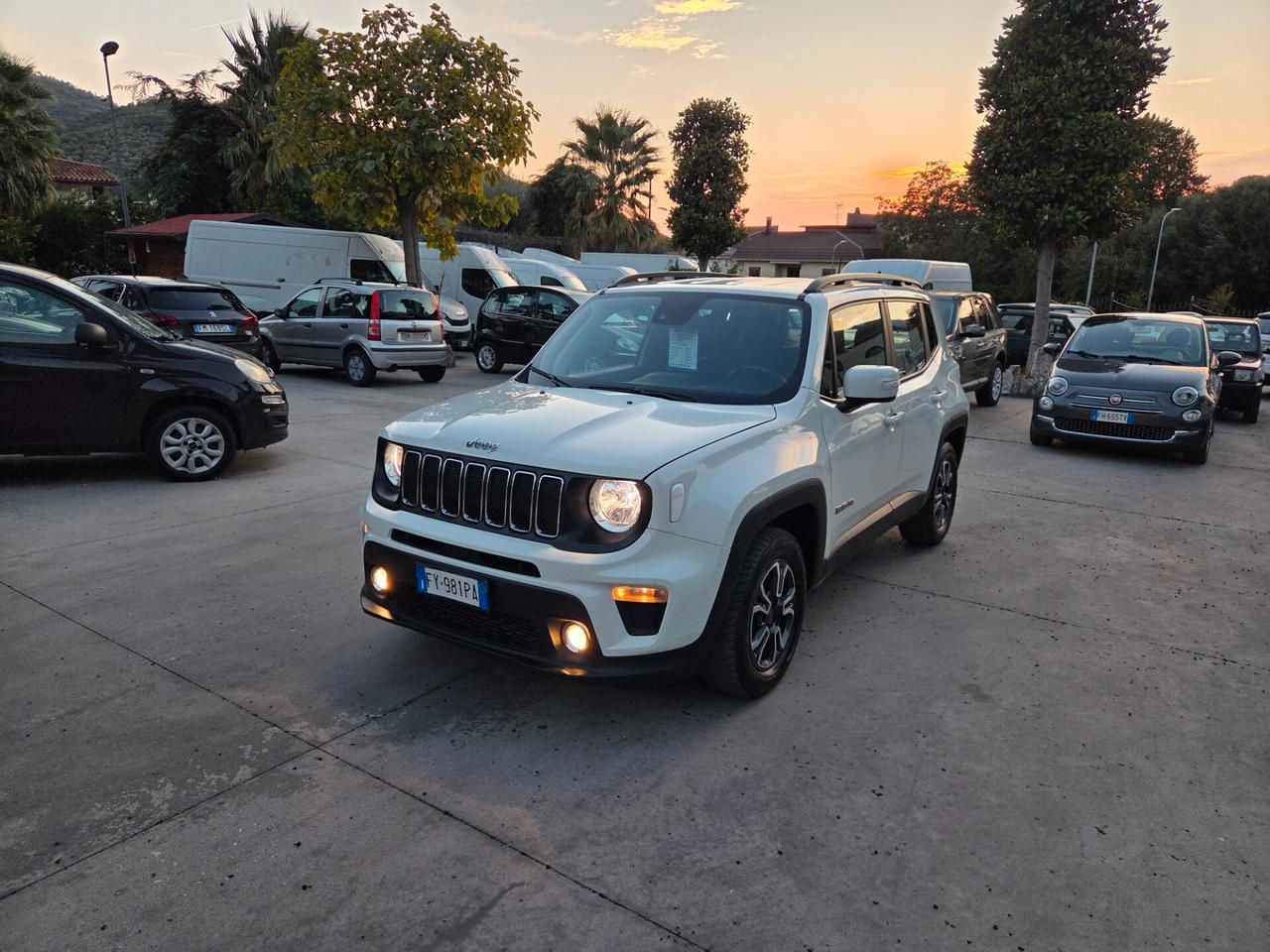 Jeep Renegade 1.6 Mjt 120 CV Longitude - 2019