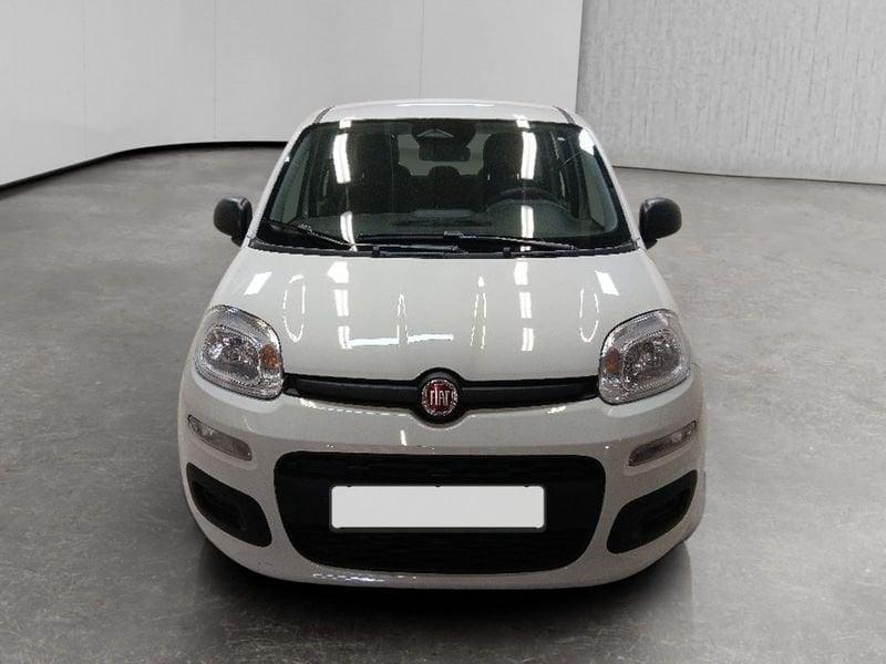 FIAT Pandina 1.0 firefly hybrid Icon s&s 70cv 5p.ti