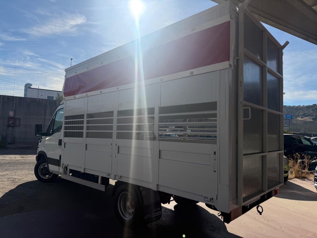 Iveco Daily 35c13 2.8 130cv trasporto animali vivi patente B