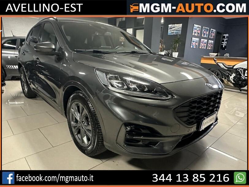 Ford Kuga 1.5 EcoBlue 120 CV aut. 2WD ST-Line X