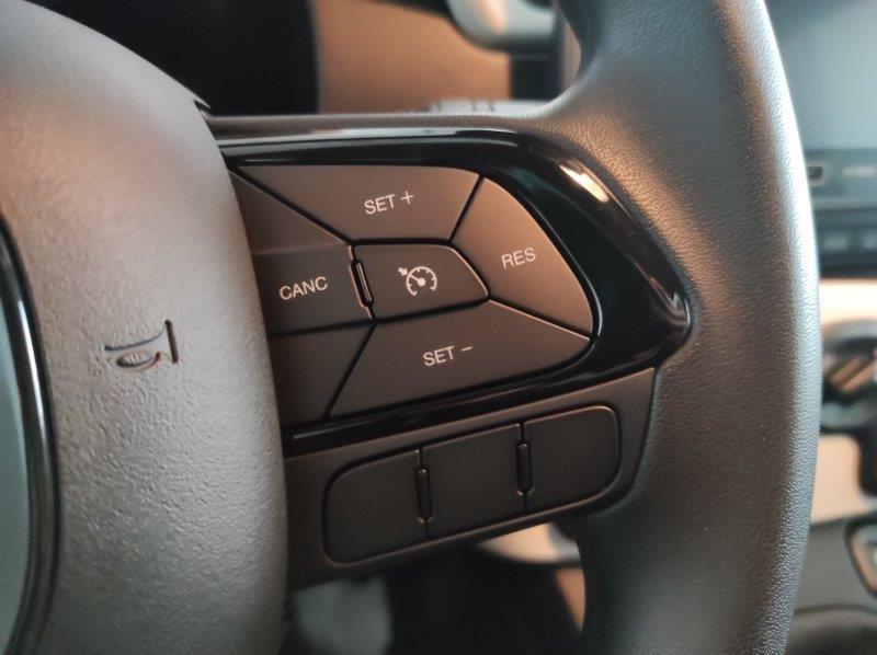 FIAT Pandina - Pandina 1.0 FireFly 65 CV Hybrid Cross