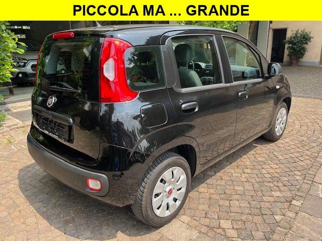 FIAT Panda 1.2 Benzina euro6 Neopatentati