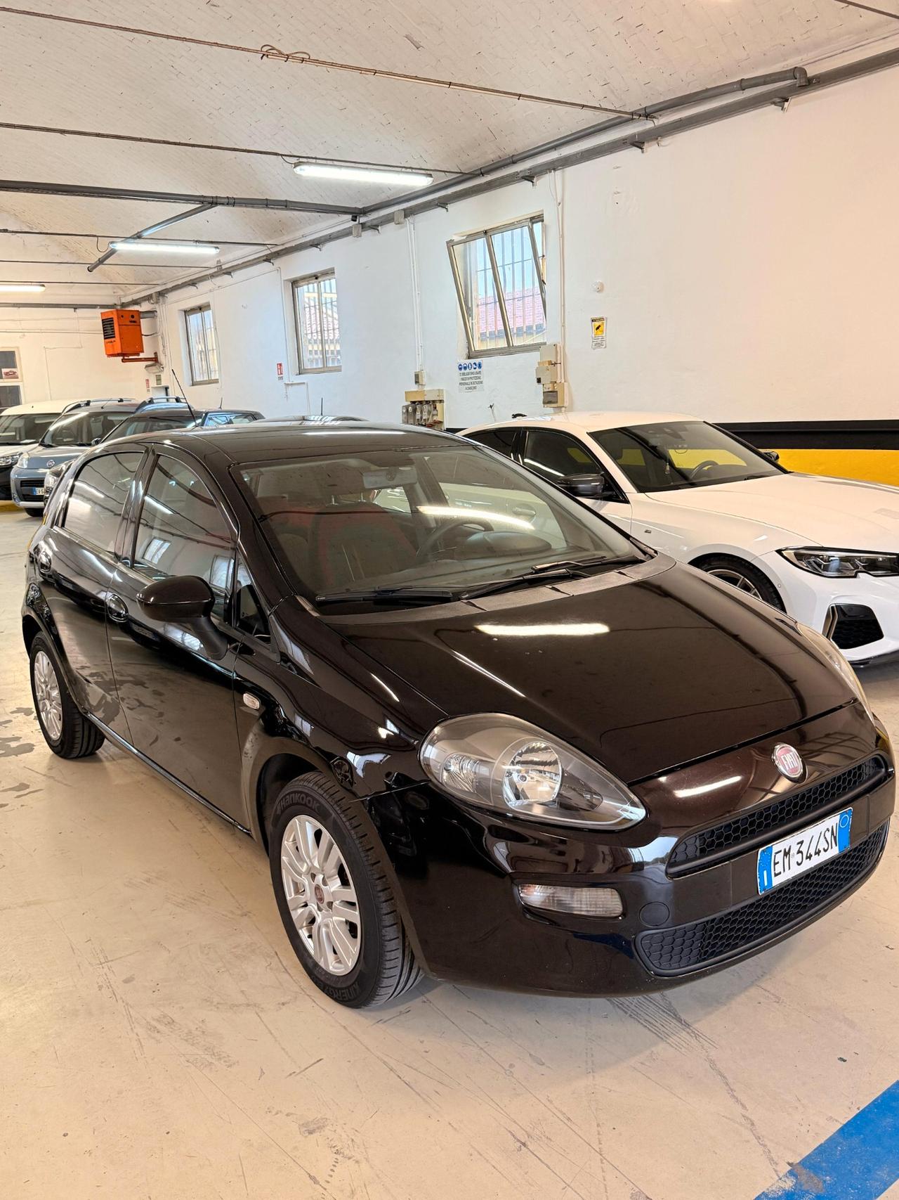 Fiat Punto Evo Punto Evo 1.4 5 porte Active EasyPower