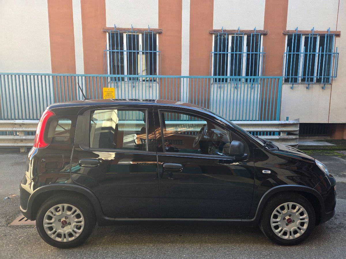 FIAT - Panda - 1.0 FireFly S&S Hybrid