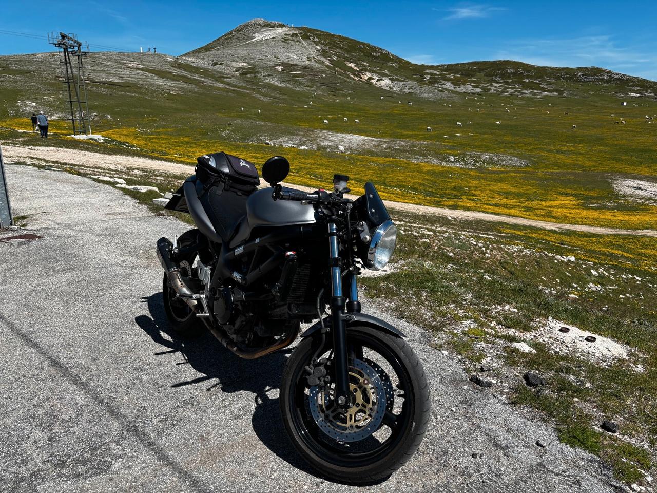 Cafe Racer su base Suzuki sv650 caffè ,scambler