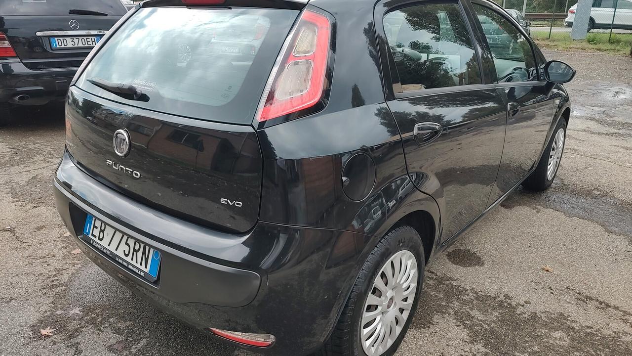 Fiat Punto Evo 1.4 5 porte S&S Dynamic, OK NEOPATENTATI, GARANZIA L.12 MESI