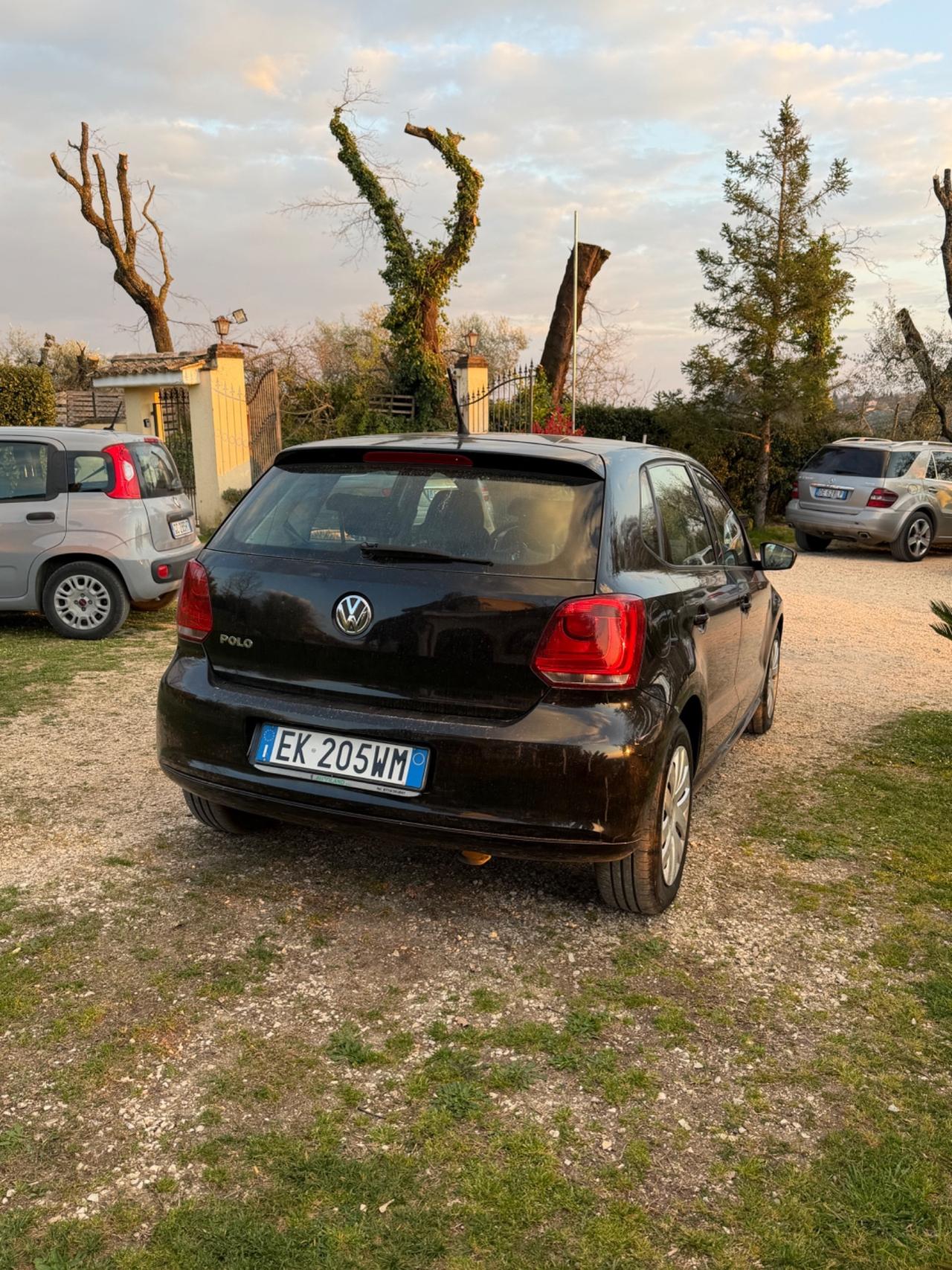 Volkswagen Polo 1.2 5 porte Trendline