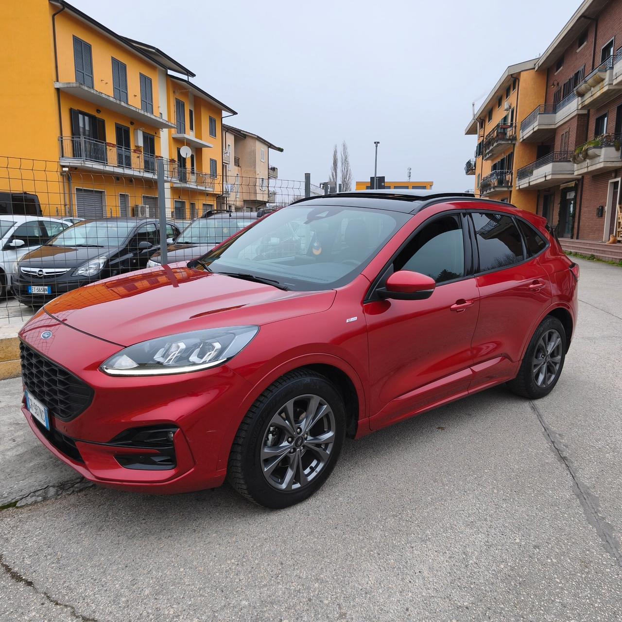 Ford Kuga 1.5 EcoBlue 120 CV 2WD ST-Line N1