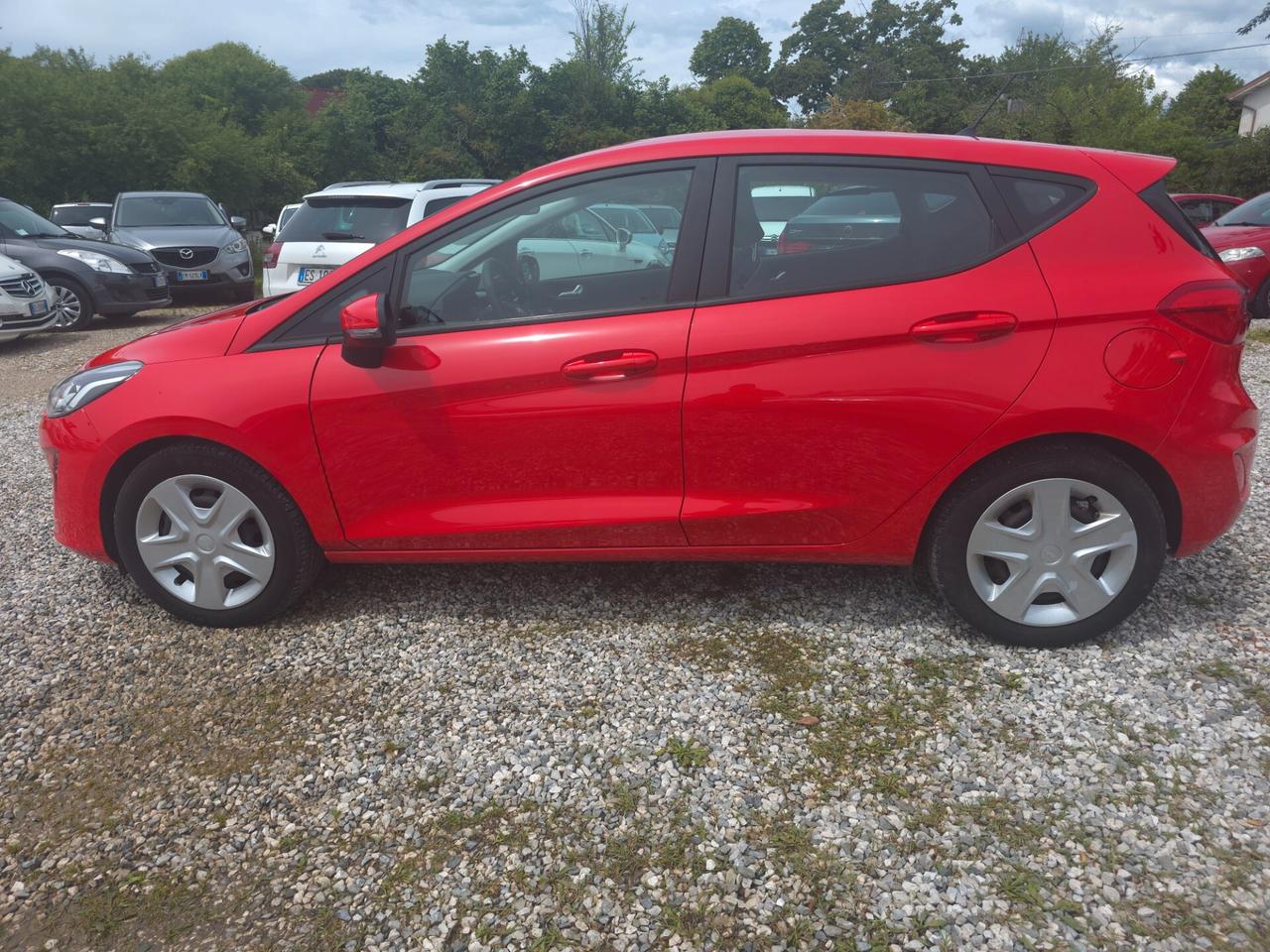 Ford Fiesta 1.5 TDCi 5 porte Vignale
