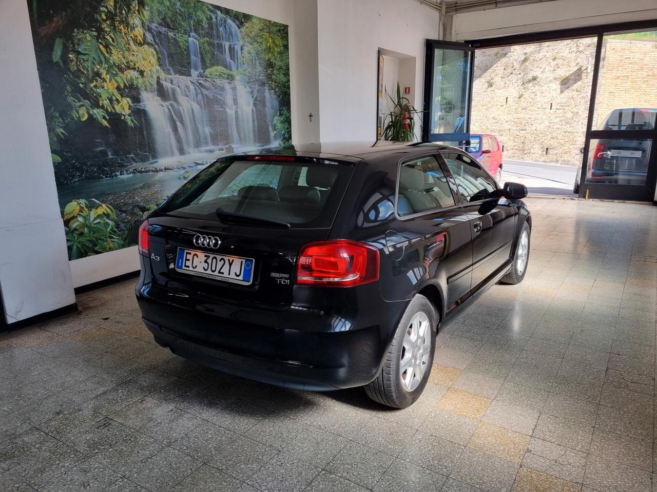 Audi A3 1.6 TDI 90 CV Ambition BI-XENON, PELLE, NEOPATENTATI