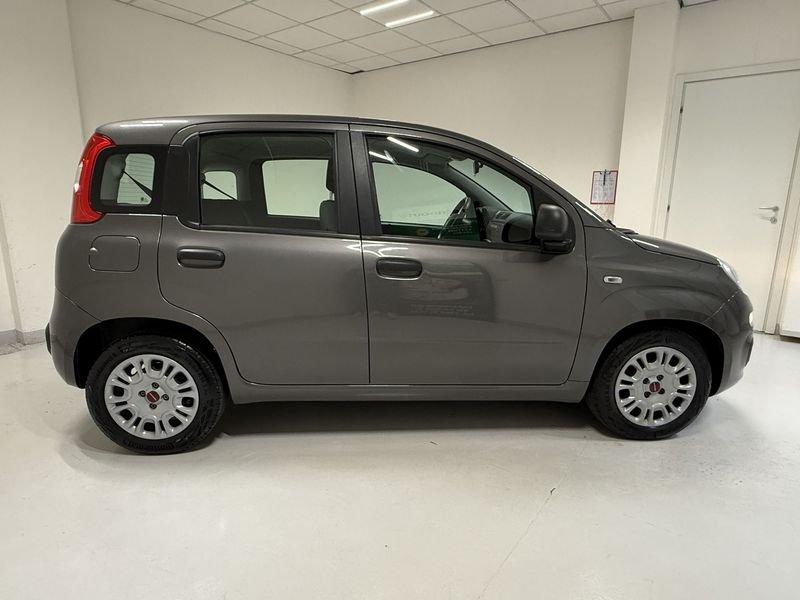 FIAT Panda Panda 1.0 FireFly S&S Hybrid
