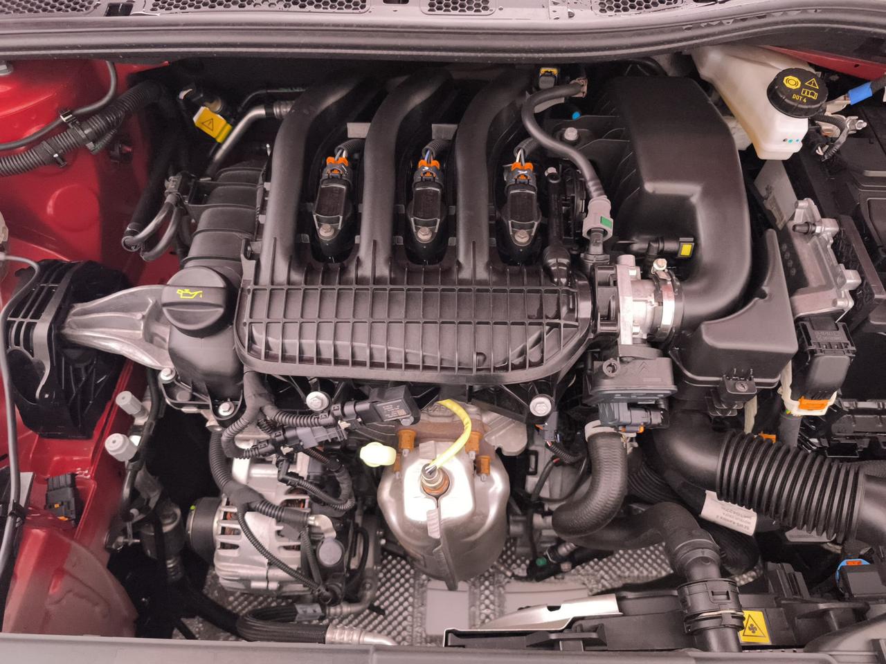 OPEL Corsa VI 2020 - Corsa 1.2 Blitz Edition s&s 75cv