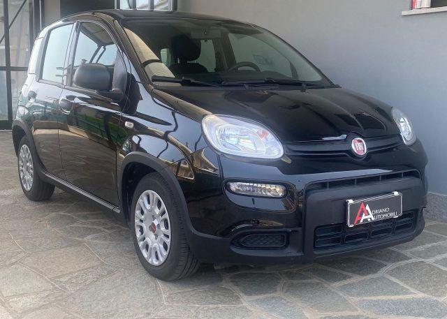 Fiat Panda 1.0 firefly hybrid s&s 70cv 5p.ti