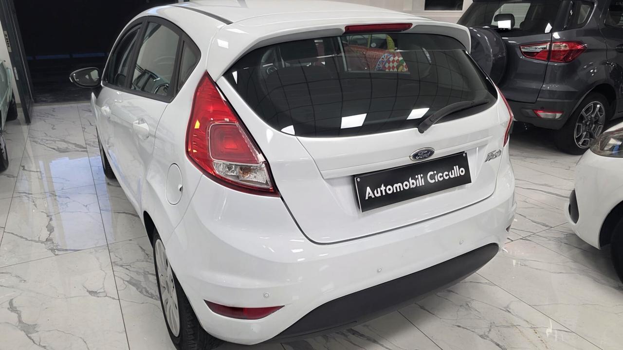 Ford Fiesta 1.2 60CV 5 porte Business