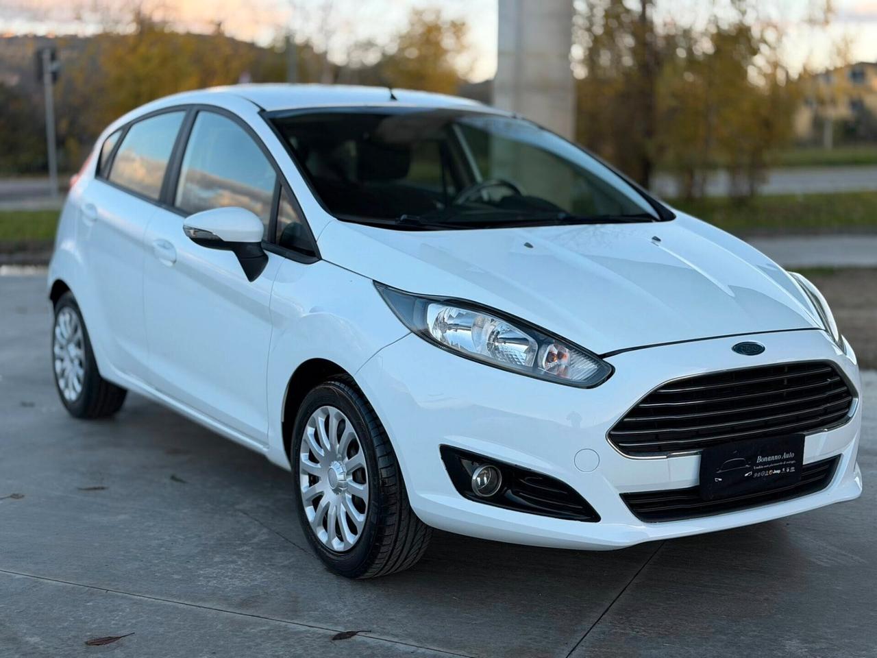 Ford Fiesta 1.5 TDCi 75CV 5 porte Titanium