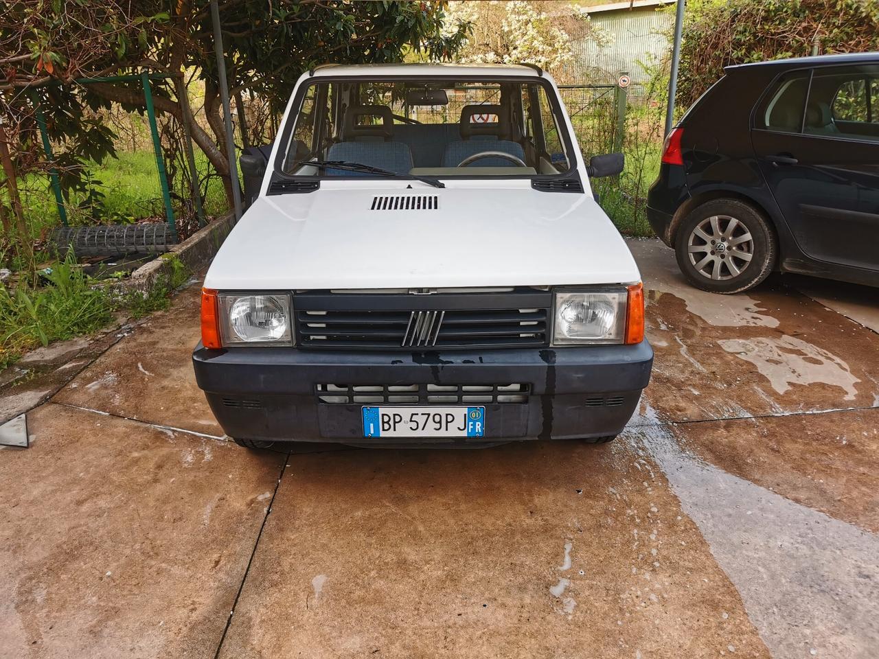 Fiat Panda 1100 i.e. cat Young