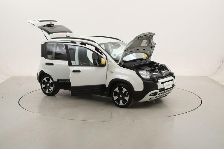 Fiat Panda Hybrid Pandina Cross BR498481 1.0 Mild Hybrid 70CV