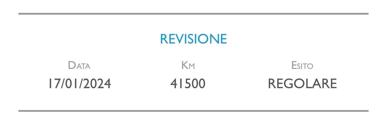 Ford EcoSport 1.0 EcoBoost 100 CV Business