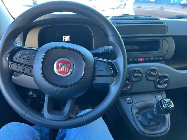 Fiat Panda Panda1.0 firefly hybrid KM 0 DIVERSI COLORI pronte