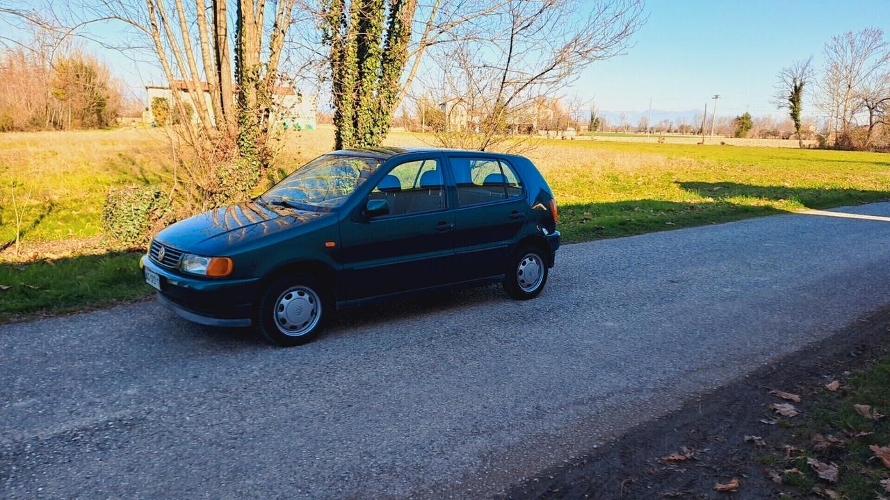 Volkswagen Polo 1.4 cat 5 porte Comfort