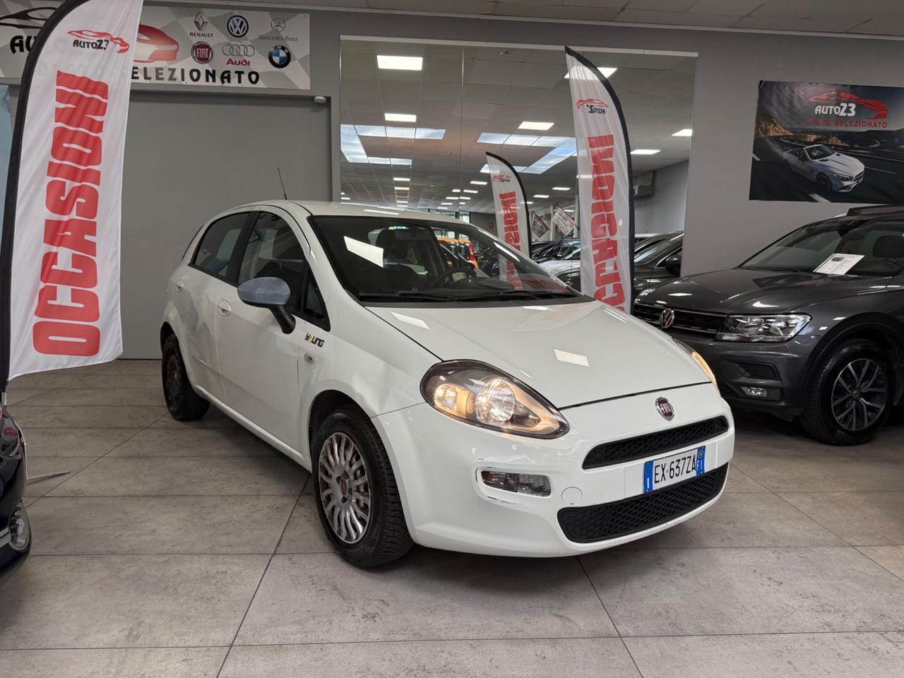 Fiat Punto 1.4 8V 5 porte Easypower Young 75CV Ok Neopatentati