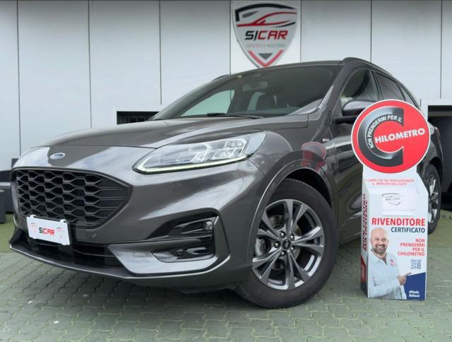 FORD Kuga 1.5 EcoBlue 120 CV aut. 2WD ST-Line X