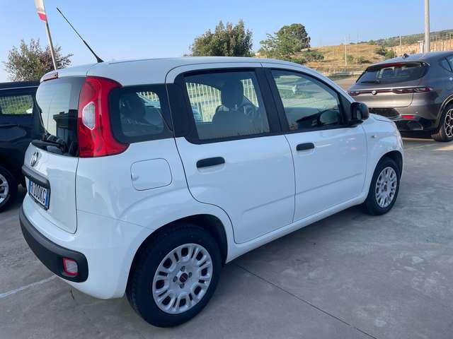 Fiat Panda Panda 1.2 Easy "Km 62.000"