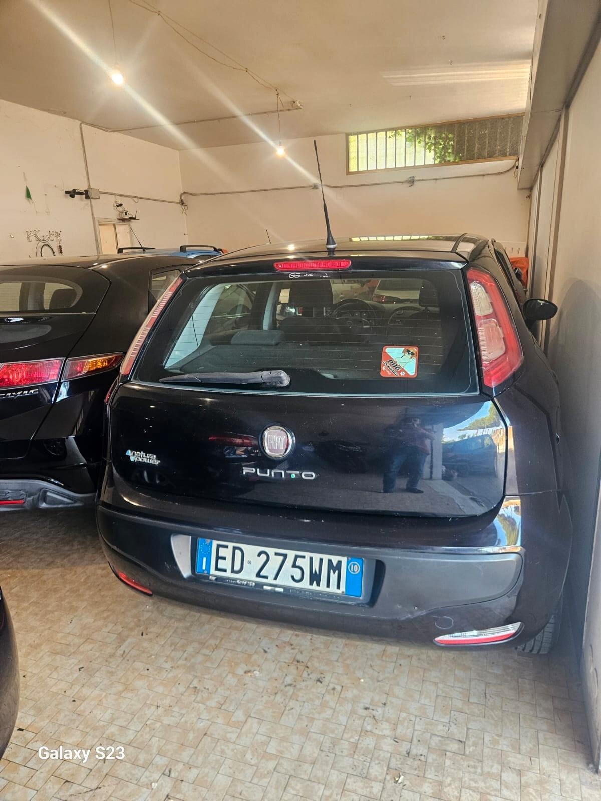 Fiat Punto Evo Punto Evo 1.4 5 porte Emotion GPL