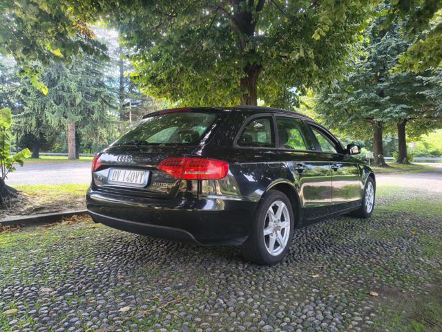 AUDI A4 Avant 2.0 TDI 170CV F.AP. quattro