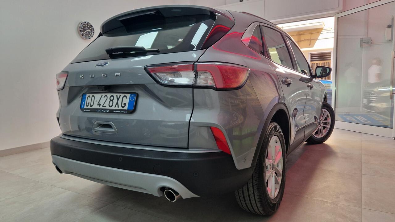 Ford Kuga 1.5 EcoBlue 120 CV aut. 2WD Titanium Business