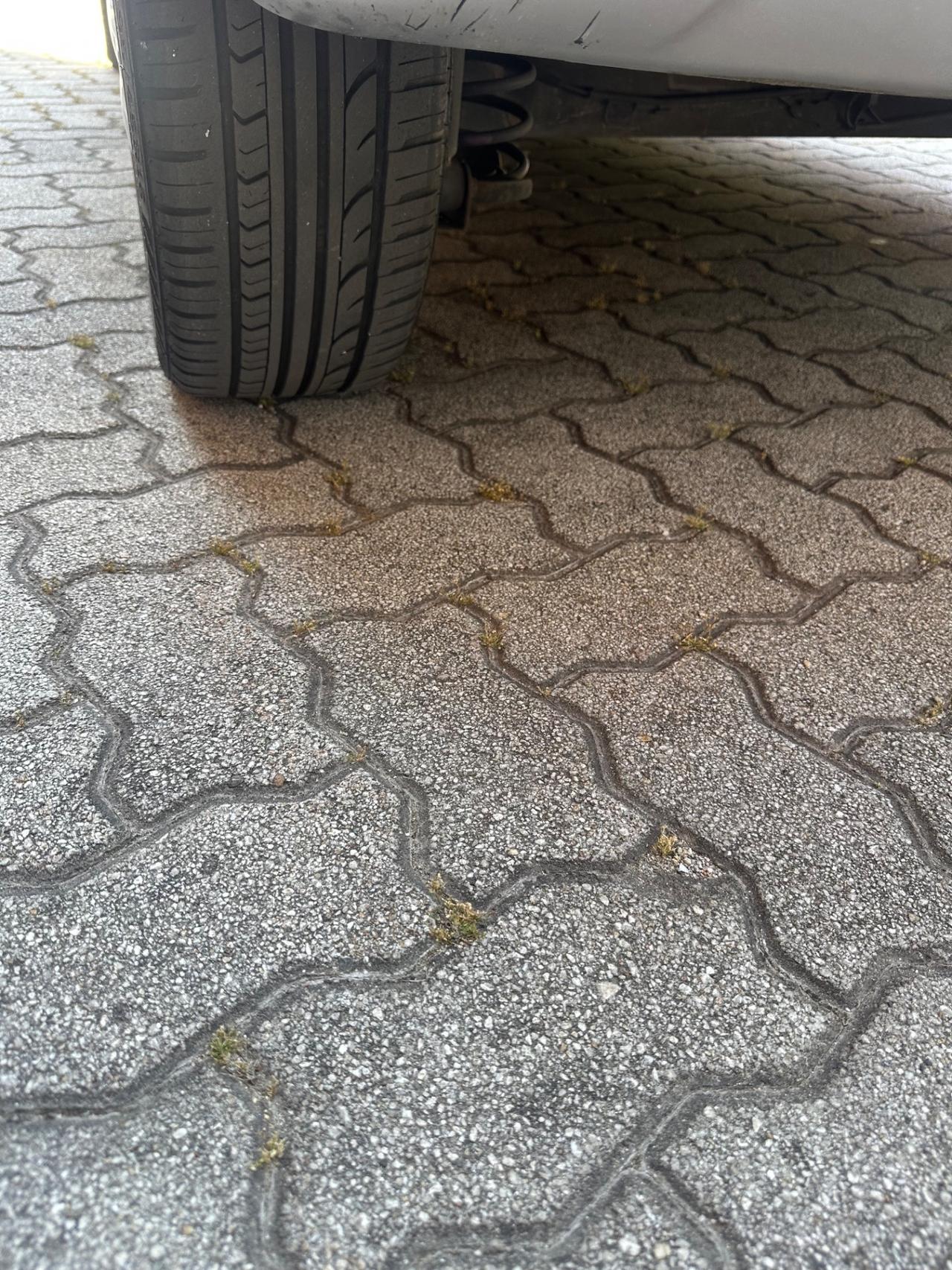 Ford Fiesta 1.2 16V 3p. Ghia