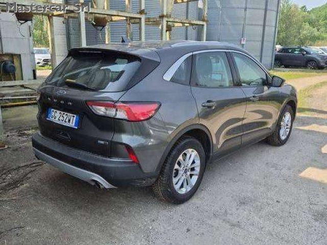 FORD Kuga 2.0 EcoBlue MHEV 150CV 2WD Titanium TG : GG252WT