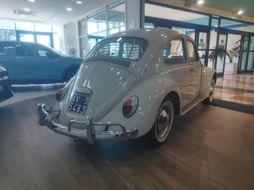 Volkswagen Maggiolino 6 volt vetro piatto ASI + CRS