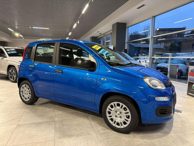 FIAT Pandina Pandina 5p 1.0 FireFly 70cv Hybrid 6m Pop
