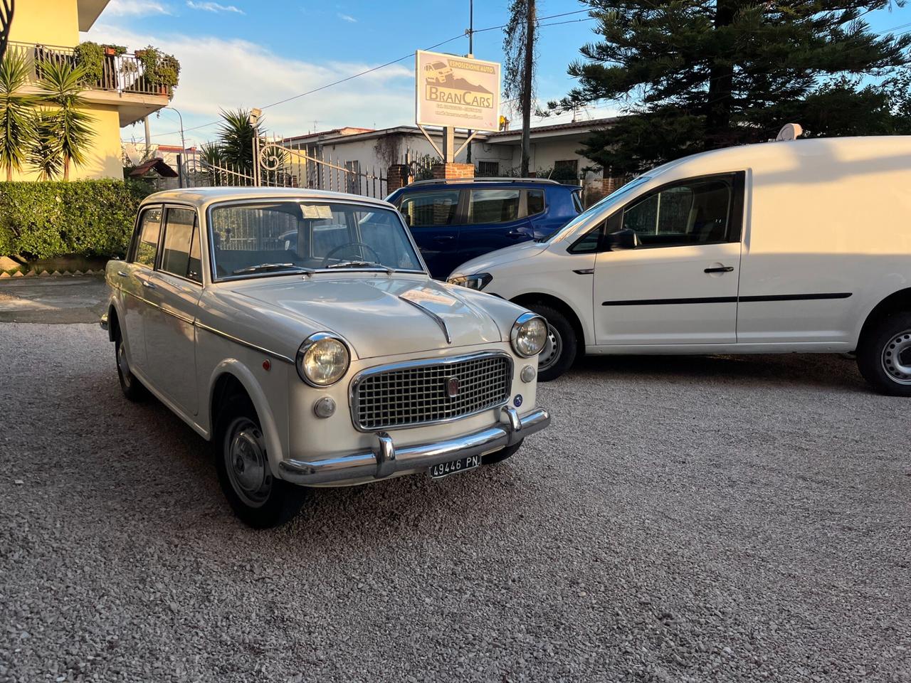 Fiat 1100 SPECIAL 1962