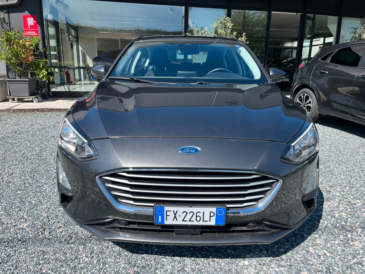 Ford Focus 1.5 EcoBlue 120 CV 5p. Business