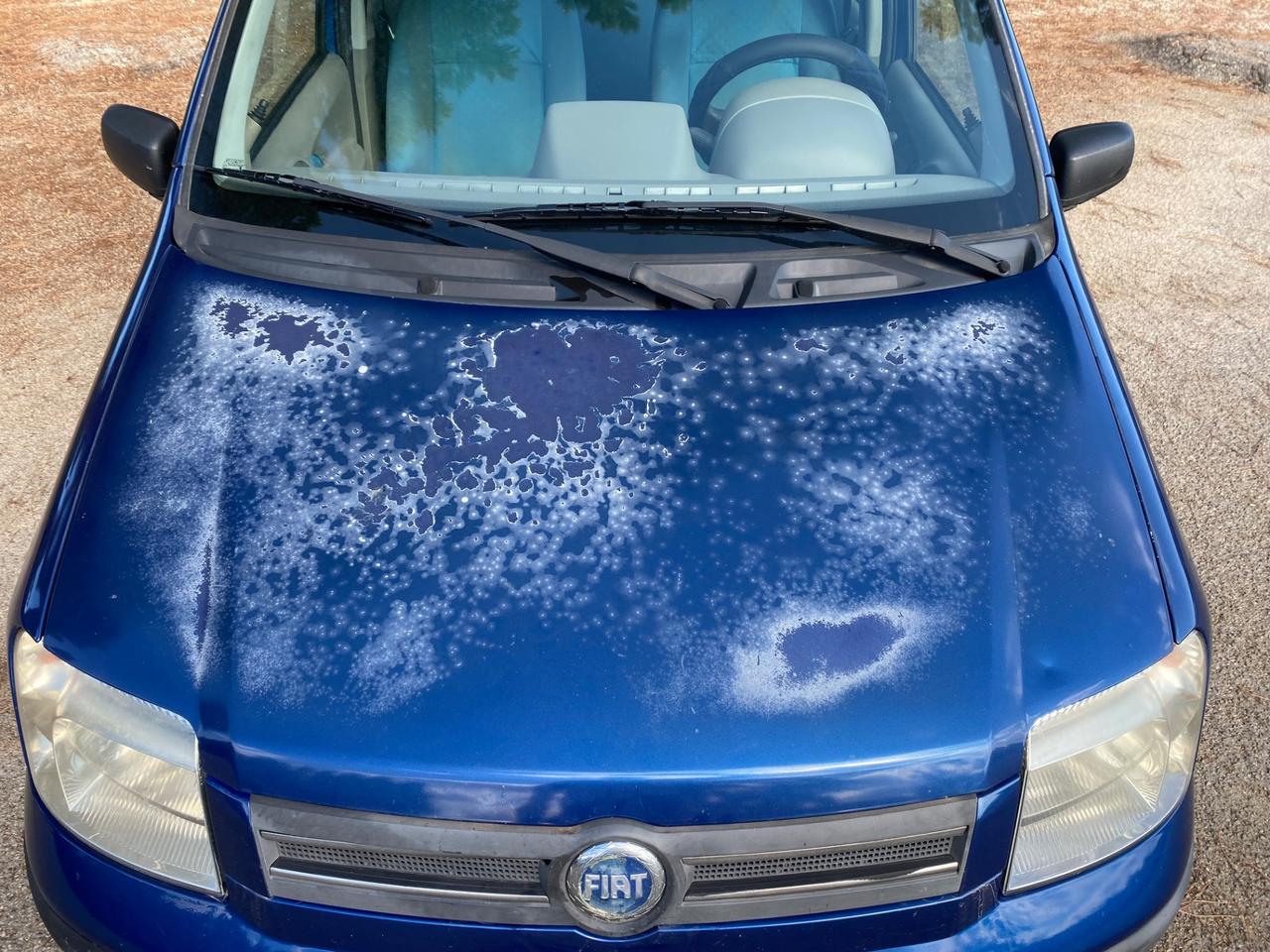 Fiat Panda 1.2 FIRE