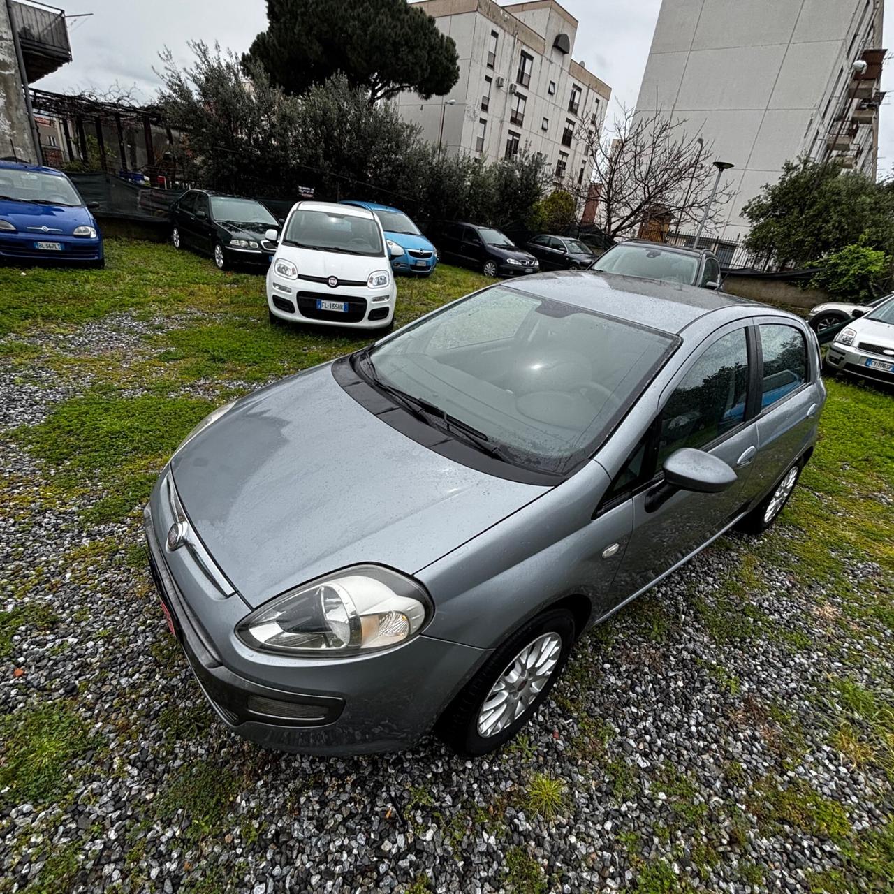 Fiat Punto Evo 1.2 5 porte S&S Active