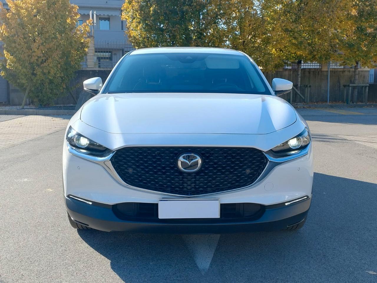 Mazda CX-30 2.0L Skyactiv-G M-Hybrid 2WD Executive