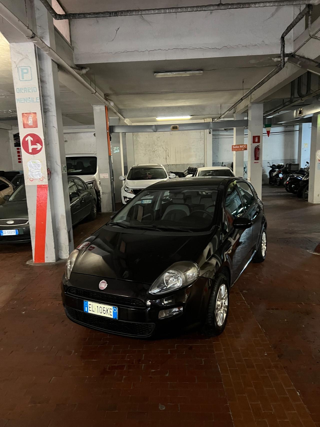 Fiat Punto Evo 1.4 GPL 77CV - neopatentati ok