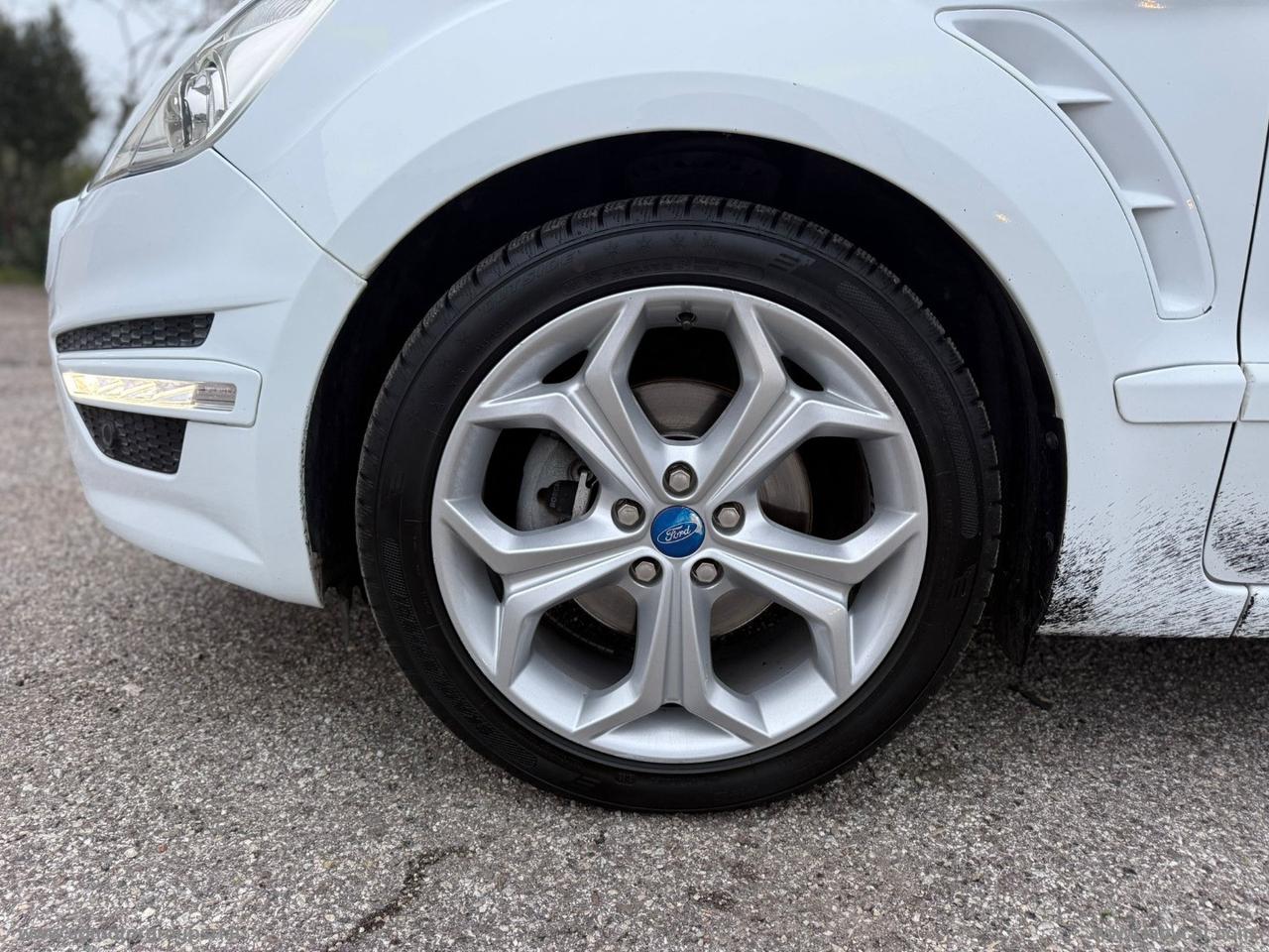 FORD S-Max 2.0 TDCi 163 CV POWERSHIFT Titanium