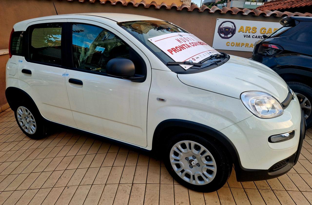 Fiat Panda 1.0 FireFly S&S Hybrid