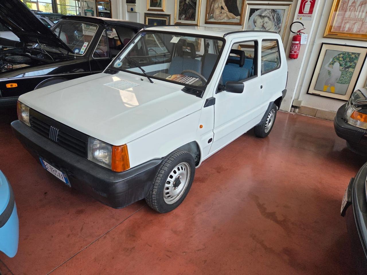 Fiat Panda 900 i.e. cat Young
