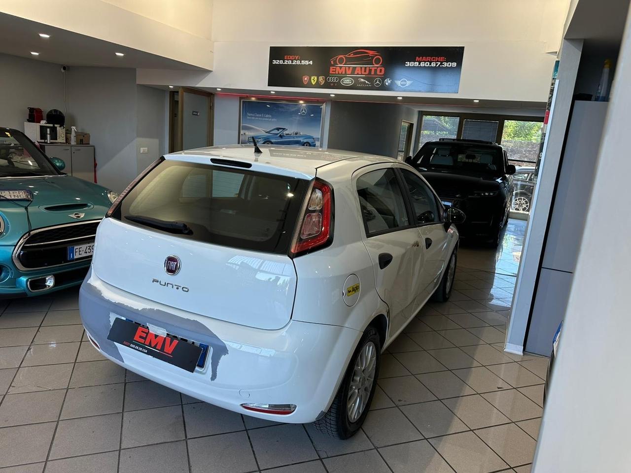 Fiat Punto 1.3 MJT II 75 CV 5 porte Street ok neopatentati