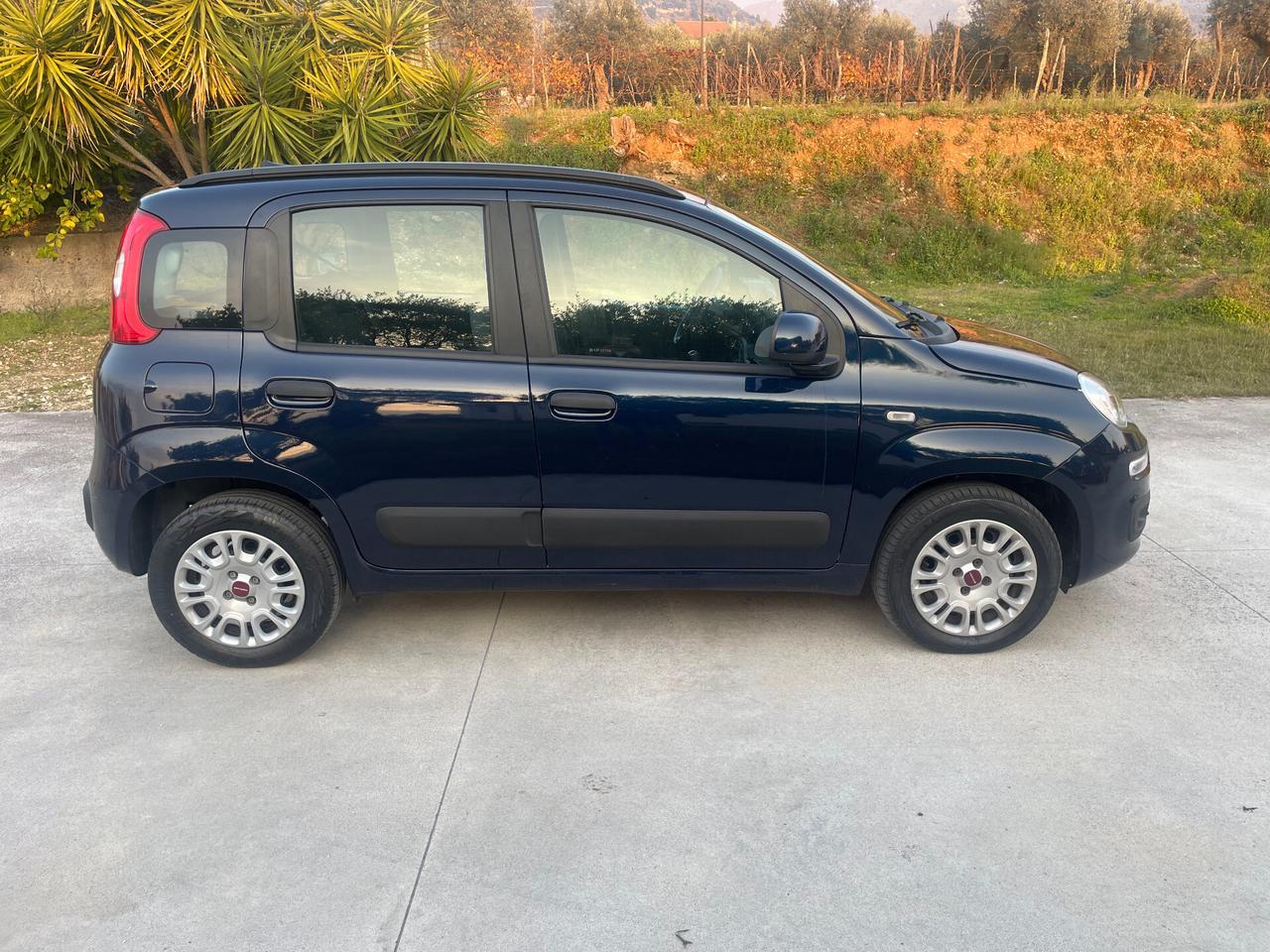 Fiat Panda 1.2 BENZINA LOUNGE 12 MESI DI GARANZIA