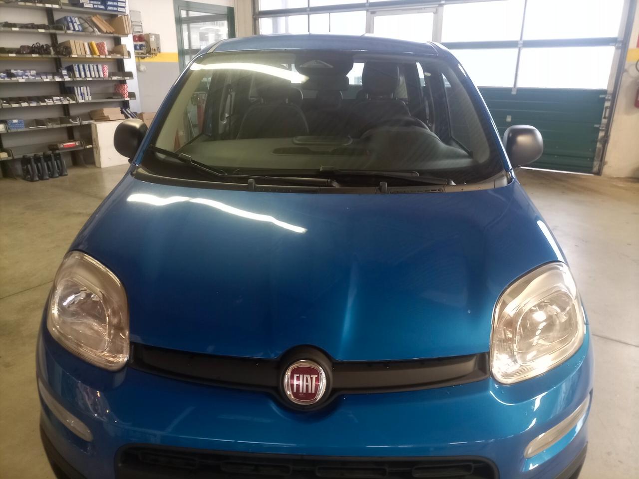 Fiat Panda 1.0 Hybrid Ikon + 5°posto